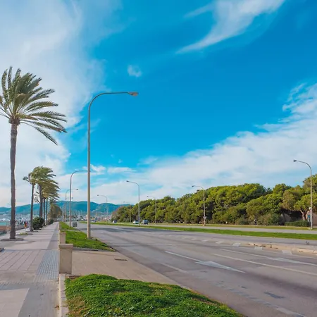 Luminoso Y Proximo Al Mar En El Casco Historico De La Ciudad * Palma de Mallorca